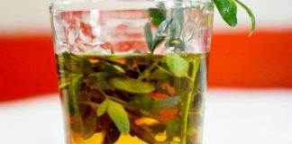 Caña con ruda: ¿Cómo se prepara la tradicional bebida?
