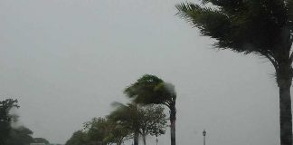 Santa Fe: Alerta por tormentas fuertes