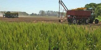 Gardiol: “Tenemos las expectativas de que este recambio sea positivo”