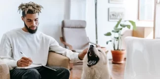¿Cuántas palabras entiende tu perro según la ciencia?