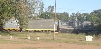 Descarriló un tren cargado de cereal en Timbúes