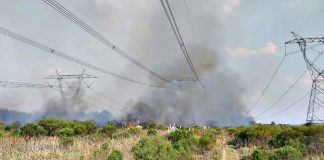 Registran cortes de luz masivos en varias regiones del país: las causas