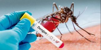 Dengue: la provincia mantuvo una nueva reunión con municipios y comunas para abordar la situación epidemiológica
