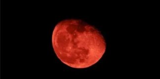 Eclipse lunar de mayo de 2023: fecha, hora, lugar y cómo verlo