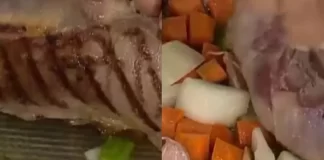 Apareció una cucaracha en el programa de Jimena Monteverde