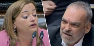 Fernando Iglesias insultó a Cecilia Moreau y la diputada lo expuso: «Macho de vitrina»