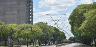Volcó un camión de gran tamaño sobre el carril central de avenida Alem