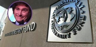 El FMI analiza habilitar un fondo de financiamiento para el gobierno de Javier Milei