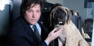 Milei: “Mi perro Conan me obligó a vender la moto ya que no le gustaba”