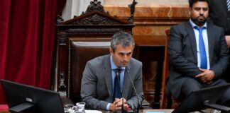 Martín Menem dijo que se inicia «un proceso de revisión» en la Cámara Baja para recortar el gasto