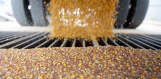 El gobierno subirá retenciones a cereales y subproductos de la soja