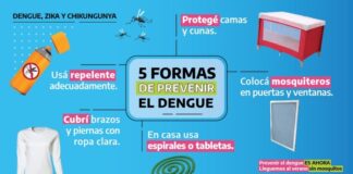 Piden reforzar los cuidados para la prevención del dengue