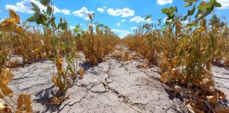 La balanza comercial de 2023 arrojó un déficit de U$S 7.000 millones a causa de la sequía