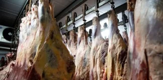 Desde esta semana no hay restricciones para la exportación de cortes bovinos