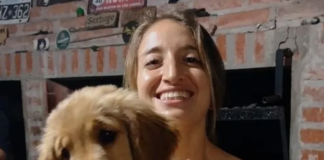 Mar del Plata: Una joven de 26 años murió en una fiesta electrónica