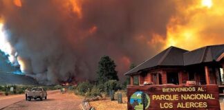 Chubut:  incendio forestal en el Parque Nacional Los Alerces